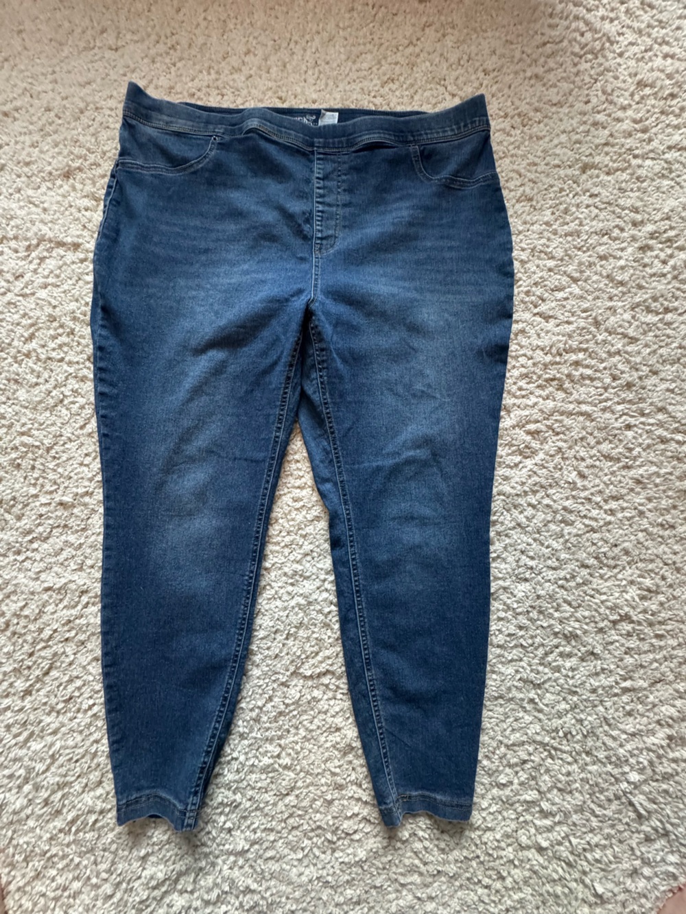 Terra & Sky Indigo Stretch Jeggings